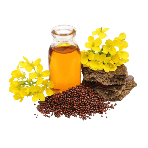 Mustard Oil